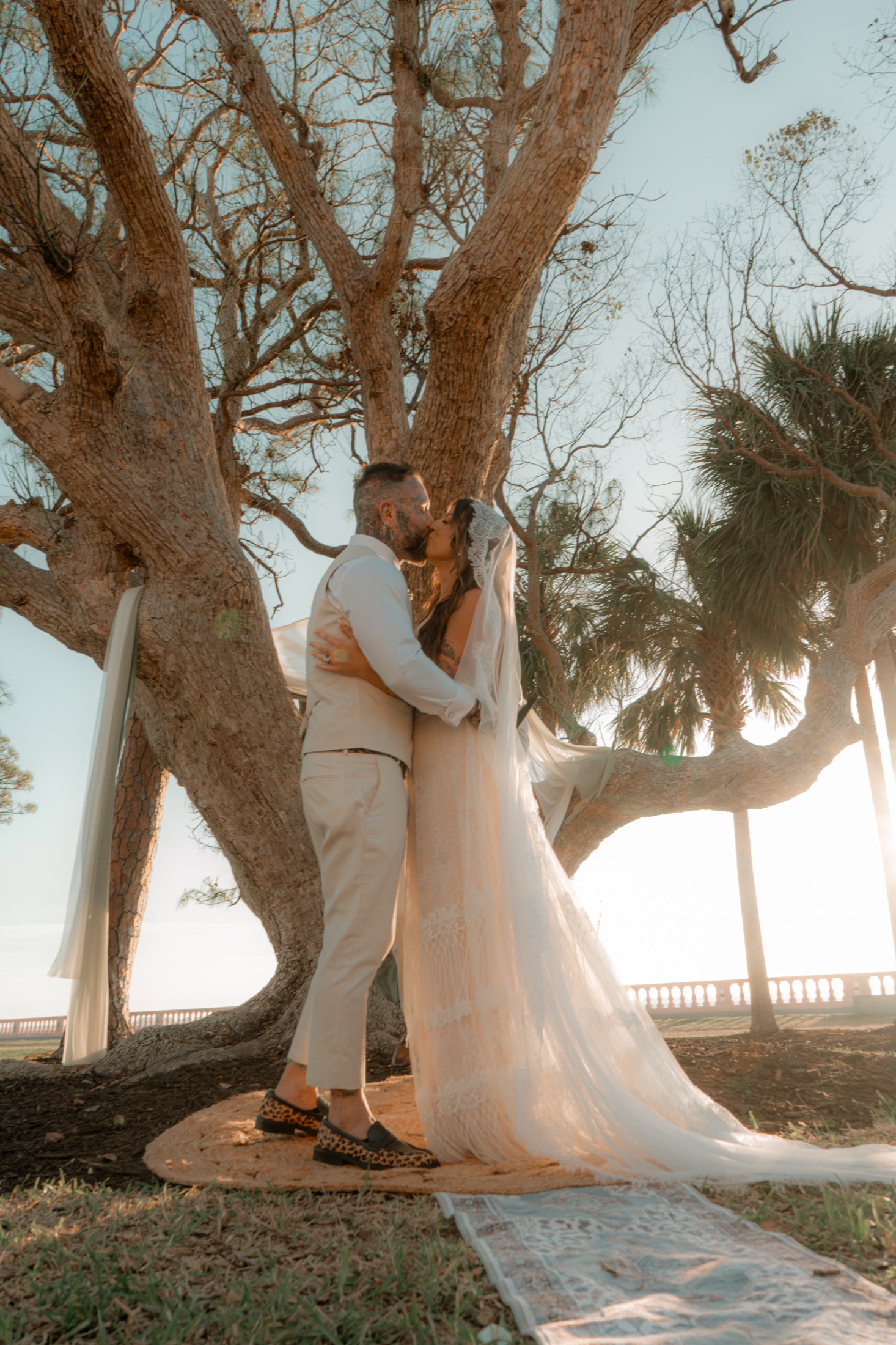 A wedding couple beneath a large tree